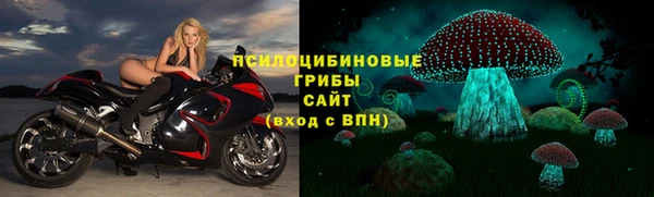 каннабис Алзамай