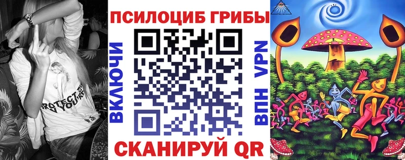 hydra как войти  Димитровград  Галлюциногенные грибы ЛСД 