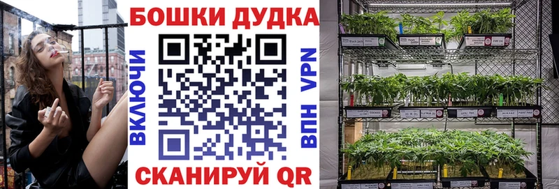 Марихуана семена  Димитровград 